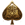 Casino Royal Ace
